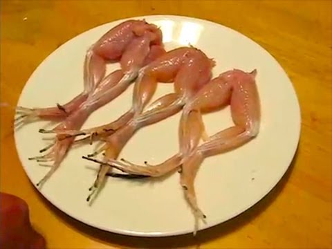 Youtube: Dancing Frog Legs - You Have Been Warned