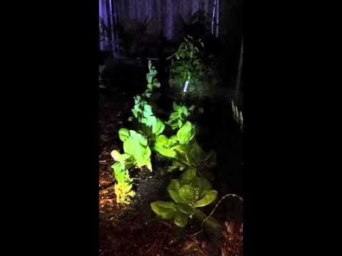 Youtube: How To keep your plants warm in the cold