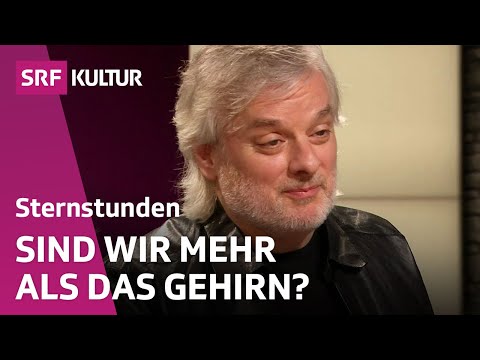 Youtube: David Chalmers über unser Bewusstsein | Sternstunde Philosophie | SRF Kultur