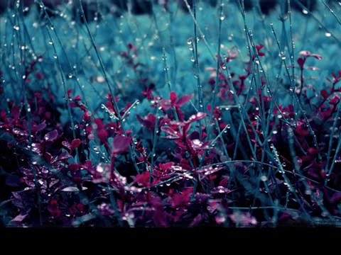 Youtube: Nujabes - The Final View