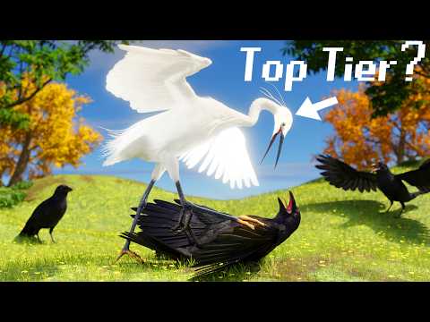 Youtube: The Bird Tier List