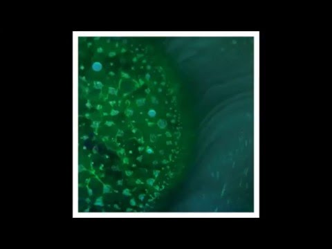 Youtube: Radiohead - Spectre