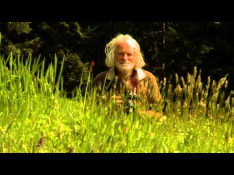 Youtube: PETER ROSEGGERS NACHBARN - TRAILER