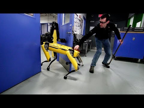 Youtube: Testing Robustness