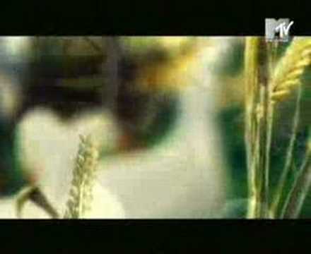 Youtube: Catatonia - Dead from the waist down