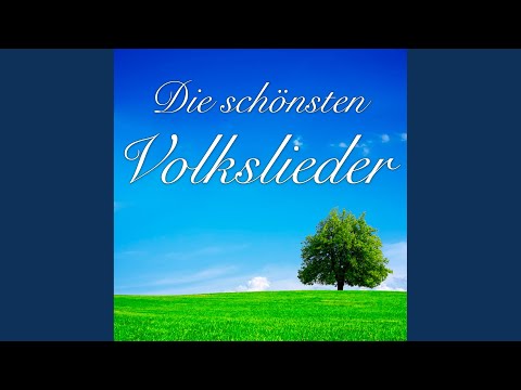 Youtube: Auf einem Baum ein Kuckuck saß