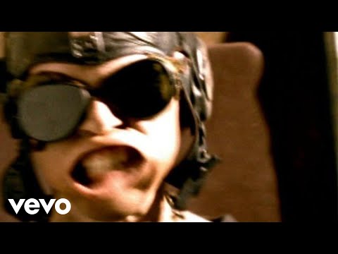 Youtube: The Offspring - The Meaning Of Life
