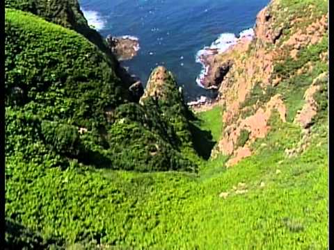 Youtube: Kitaro - In The Beginning