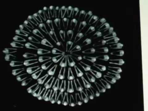 Youtube: MGMT "Kids" Video