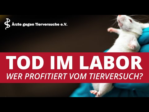 Youtube: Tod im Labor - Warum Tierversuche sinnlos sind