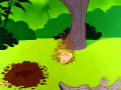 Youtube: Tasmanian Devil tornado
