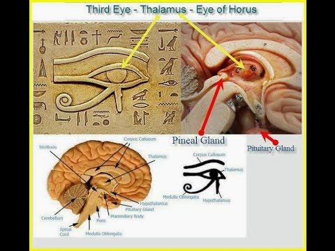 Youtube: Atlantis, Pyramiden & Kundalini