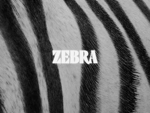 Youtube: KO KO MO - Zebra (Official Video)