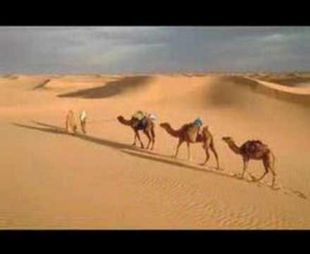 Youtube: theme from caravan  Mike Batt