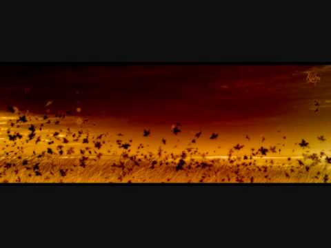 Youtube: Epic Score - This is our land