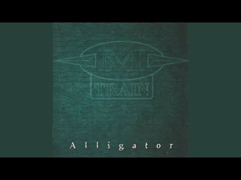 Youtube: Alligator