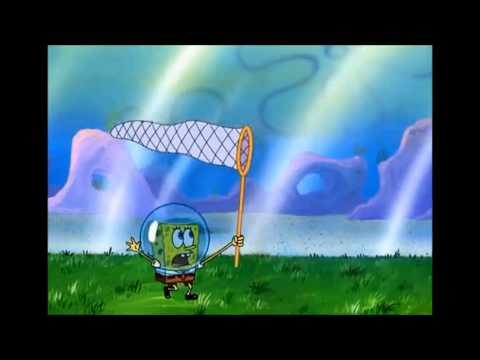 Youtube: Wormy Up Close