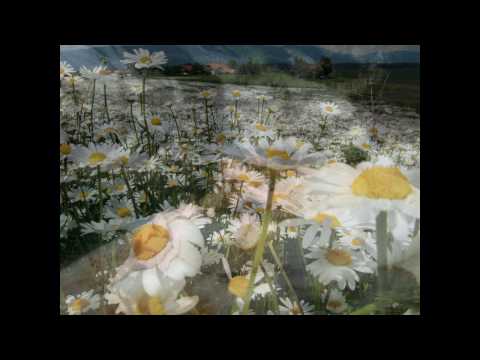 Youtube: Die 4 Jahreszeiten: Der Sommer
