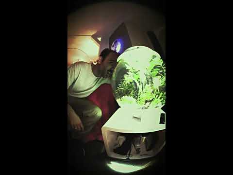 Youtube: AlphaMob x Caramelo -  Schiebedach