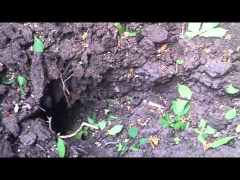 Youtube: 02.06.14 Луганск ОГА После авиаудара, воронки