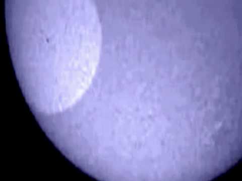 Youtube: UFO across the sun - February 2010 EDIT