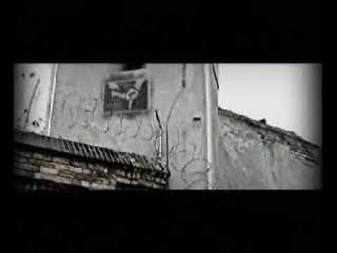 Youtube: Bushido-Besoffene Kinder