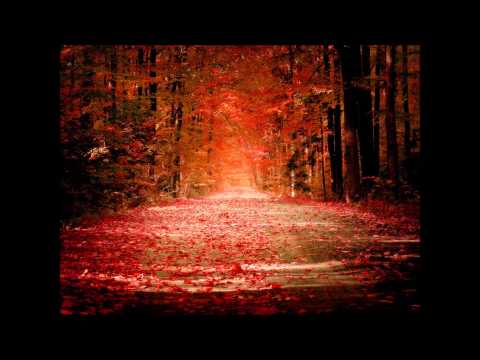 Youtube: Željko Joksimović - Lane Moje (Sweetheart) - English Translation