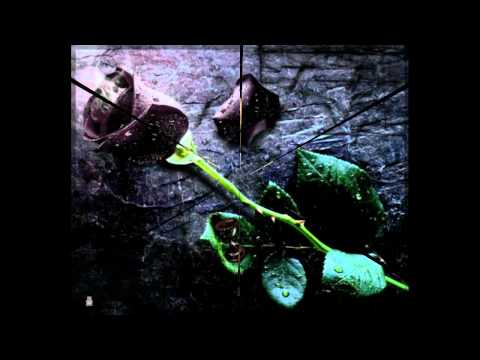 Youtube: IBO - Schwarze Rose (Discofox Remix.