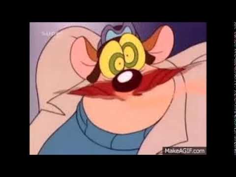 Youtube: Samson Käse