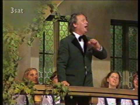 Youtube: Fred Bertelmann - Schwalbenlied