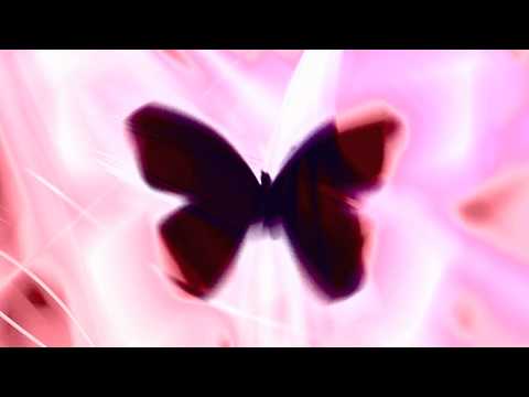 Youtube: Bassnectar - Butterfly (feat. Mimi Page)