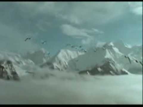 Youtube: Pink Floyd - Learning To Fly