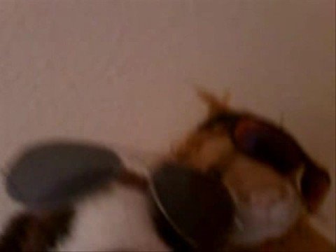 Youtube: C&B #2: Schlacht bei Worringen (1. Version)