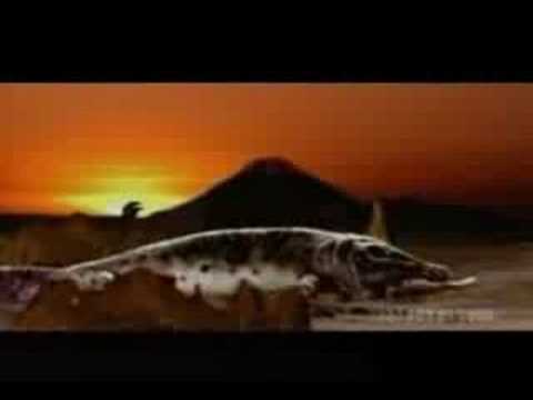 Youtube: Fatboy Slim Right Here Right Now