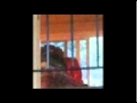 Youtube: Michael Jackson Death Hoax: The Man Behind the Curtain
