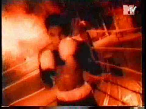 Youtube: JINGO DE LUNCH   Dogs Day