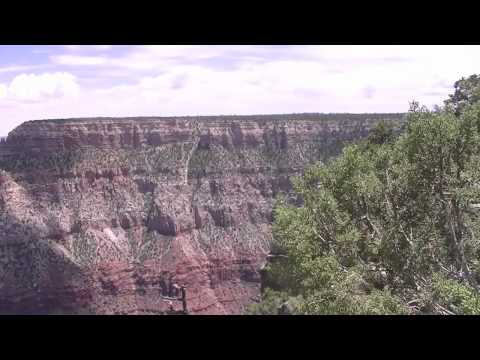 Youtube: Hey - Elvis Perkins in Dearland