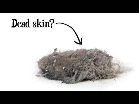 Youtube: Is Dust Mostly Dead Skin?