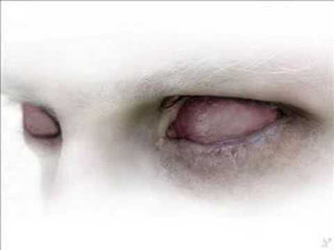 Youtube: Dark Tranquility - Inside the Particle Storm (images)