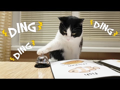 Youtube: Waiter! Bring me food!