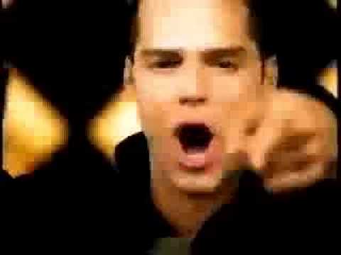 Youtube: Livin' La Vida Loca