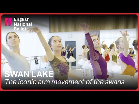 Youtube: Swan Lake: The iconic arm movement of the swans | English National Ballet