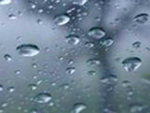Youtube: Deftones - digital bath (nature music video)