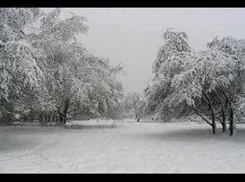 :) Youtube: Auld Lang Syne - "Happy New Year" <i class=