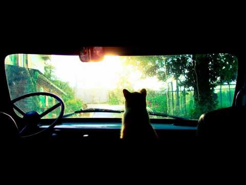 Youtube: Satellite Stories - Sirens [HD]