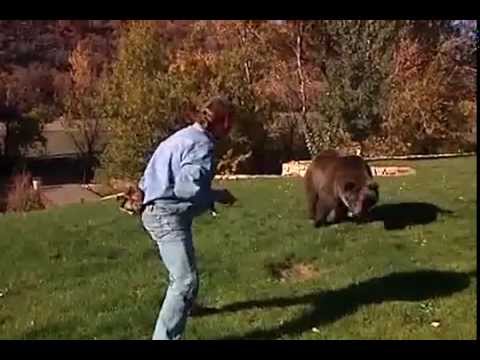 Youtube: The Legacy of Bart the Bear