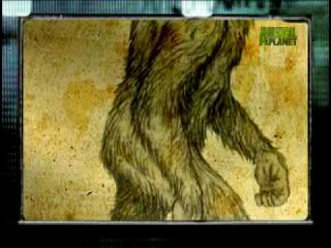 Youtube: Bigfoot
