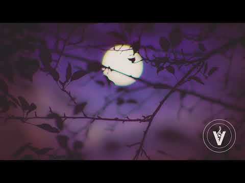 Youtube: DJ Cream - Moonlight