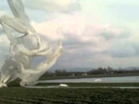 Youtube: Dust devil in Pupping II