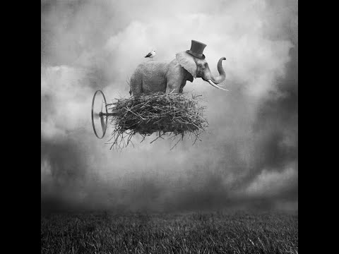 Youtube: Coccolino Deep - Don't forget to fly